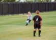ball control