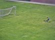 Soccer Training