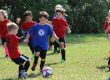 private soccer training